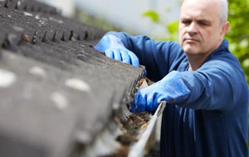 cleaning and inspecting Sellicks Green roofs
